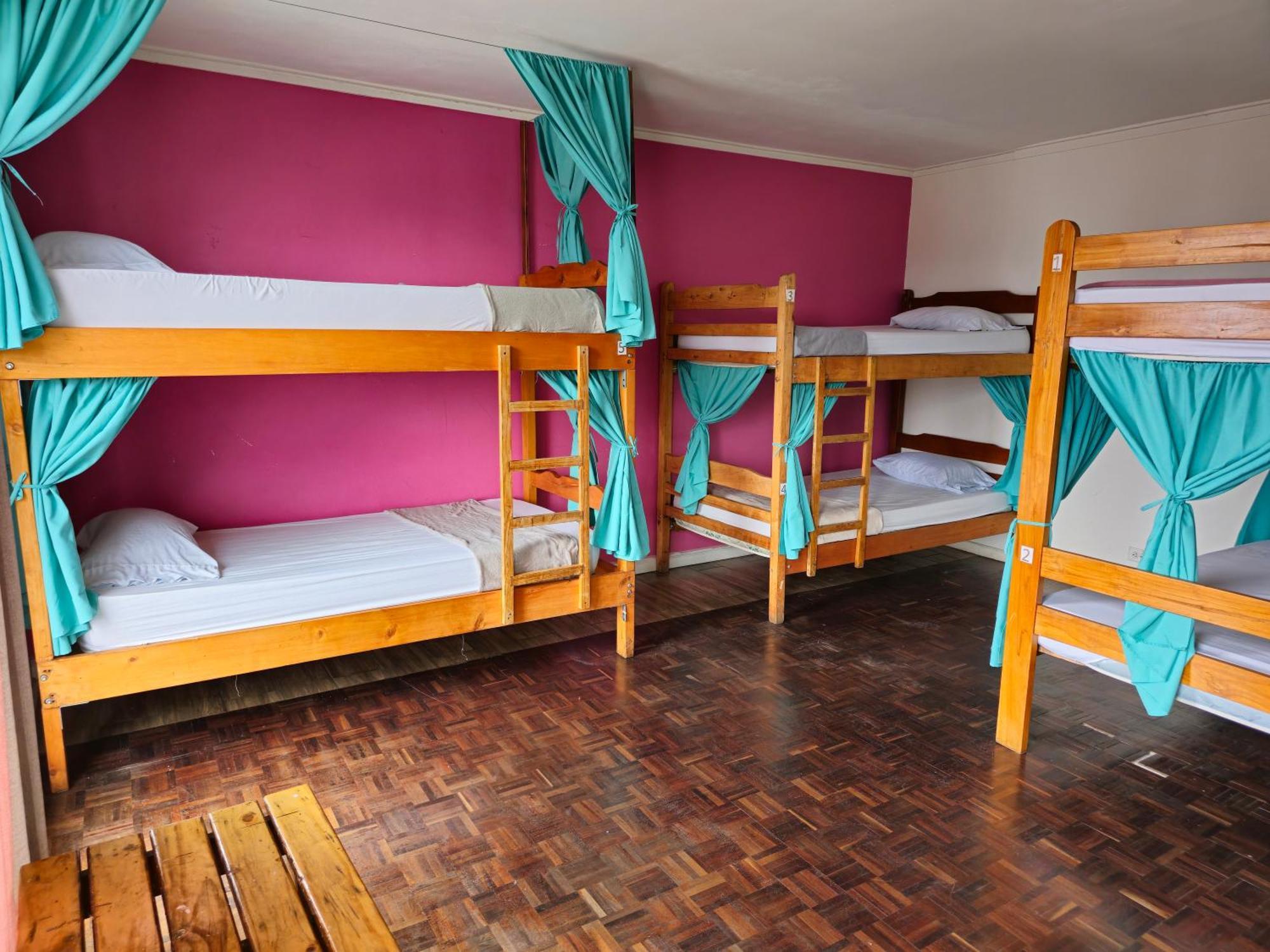 Haven Hotel سان هوزيه المظهر الخارجي الصورة